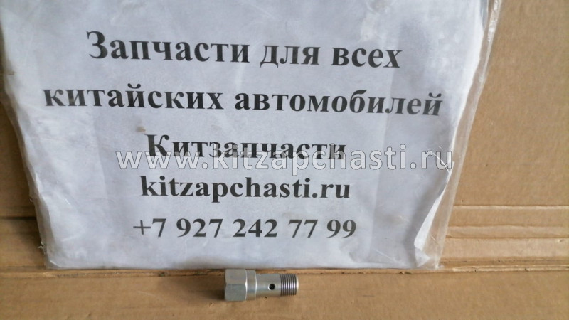 Клапан перепускной BOSCH ТНВД (WP10) Howo HW762469403530