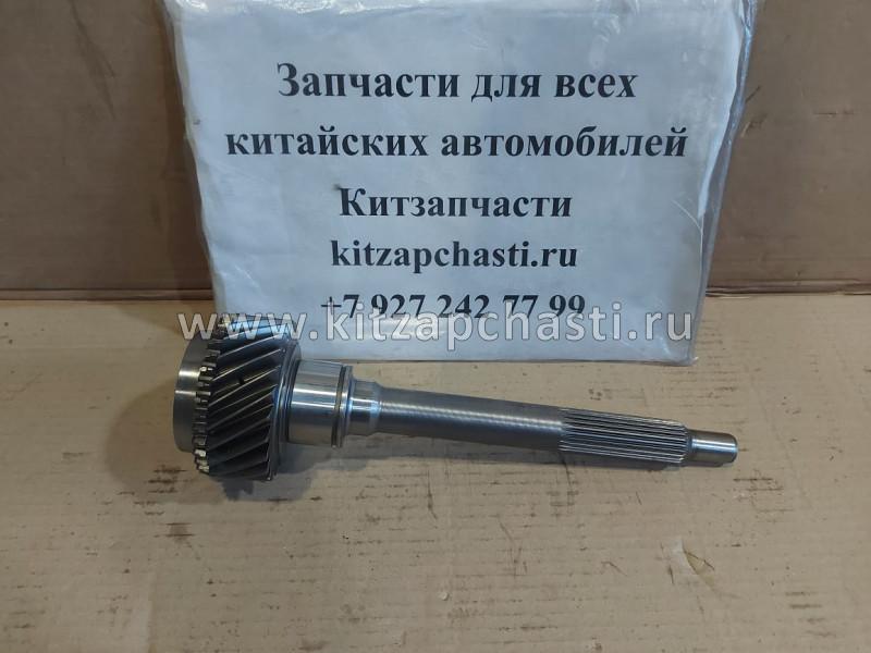 Вал первичный Baw Fenix 1065 Евро 2 W-1701110-4D32